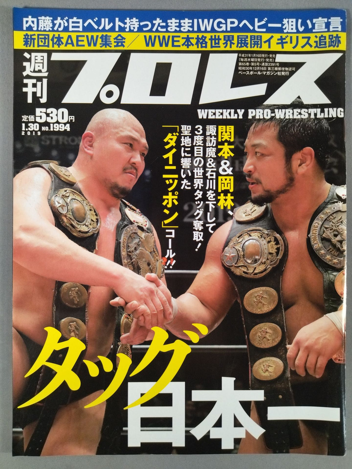週刊プロレス1994
