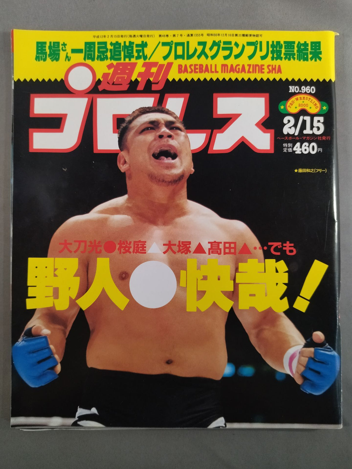 Weekly Pro Wrestling 960