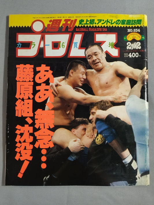 Weekly Pro Wrestling 534