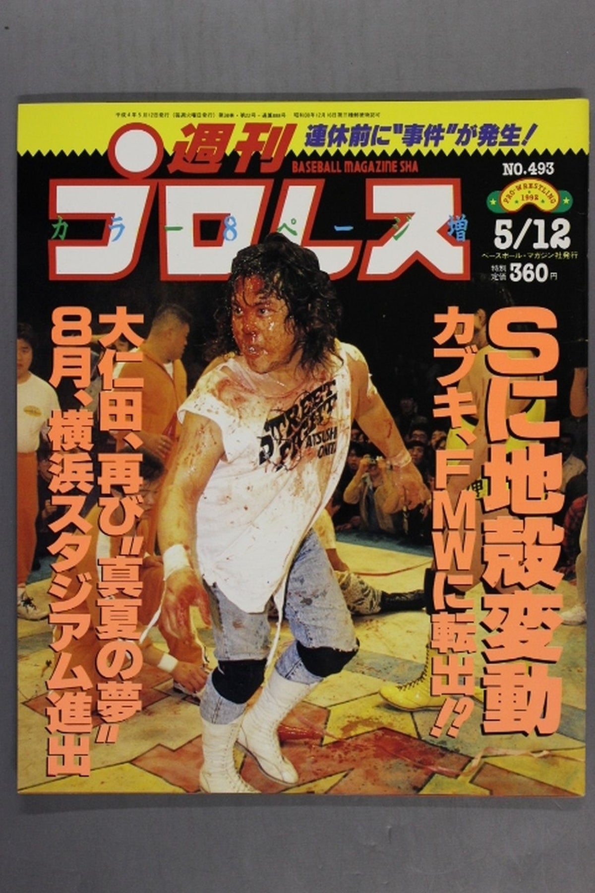 Weekly Pro Wrestling  493