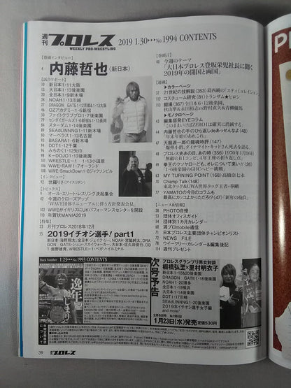 Weekly Pro Wrestling  1994
