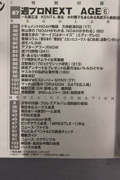 Weekly Pro Wrestling 1290