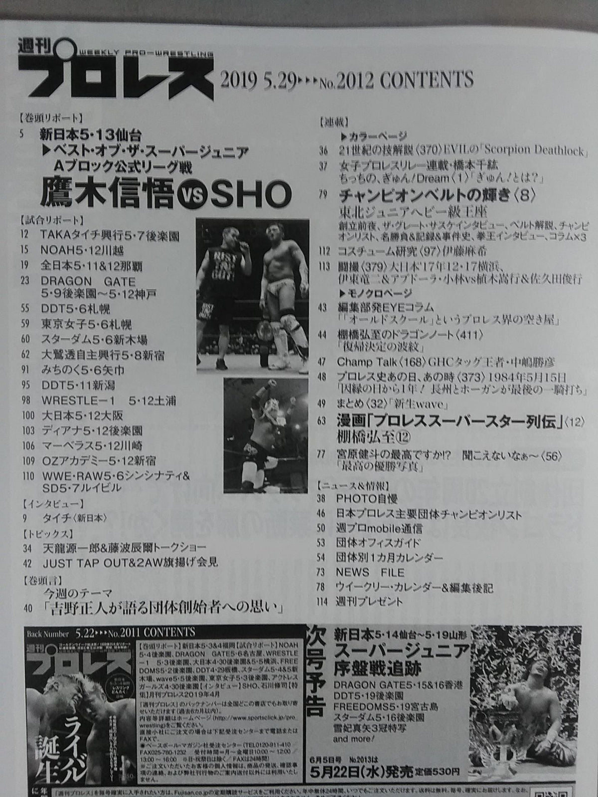 週刊プロレス2012