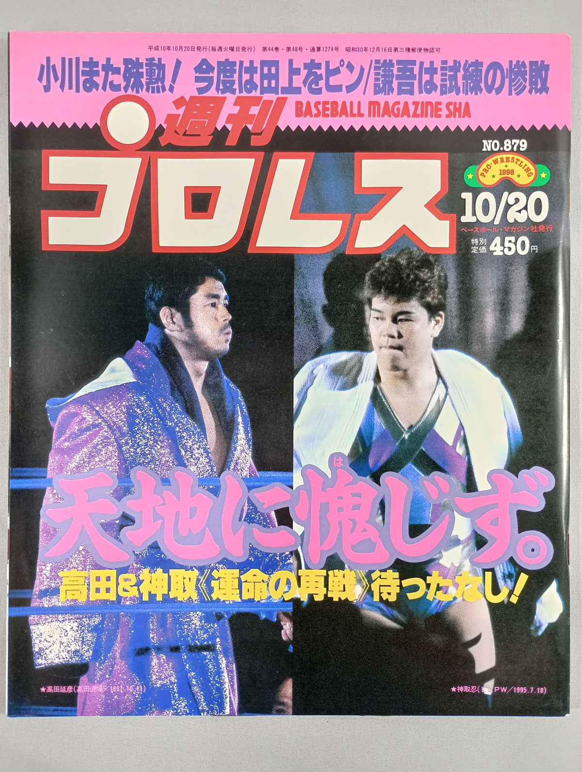 Weekly Pro Wrestling 879