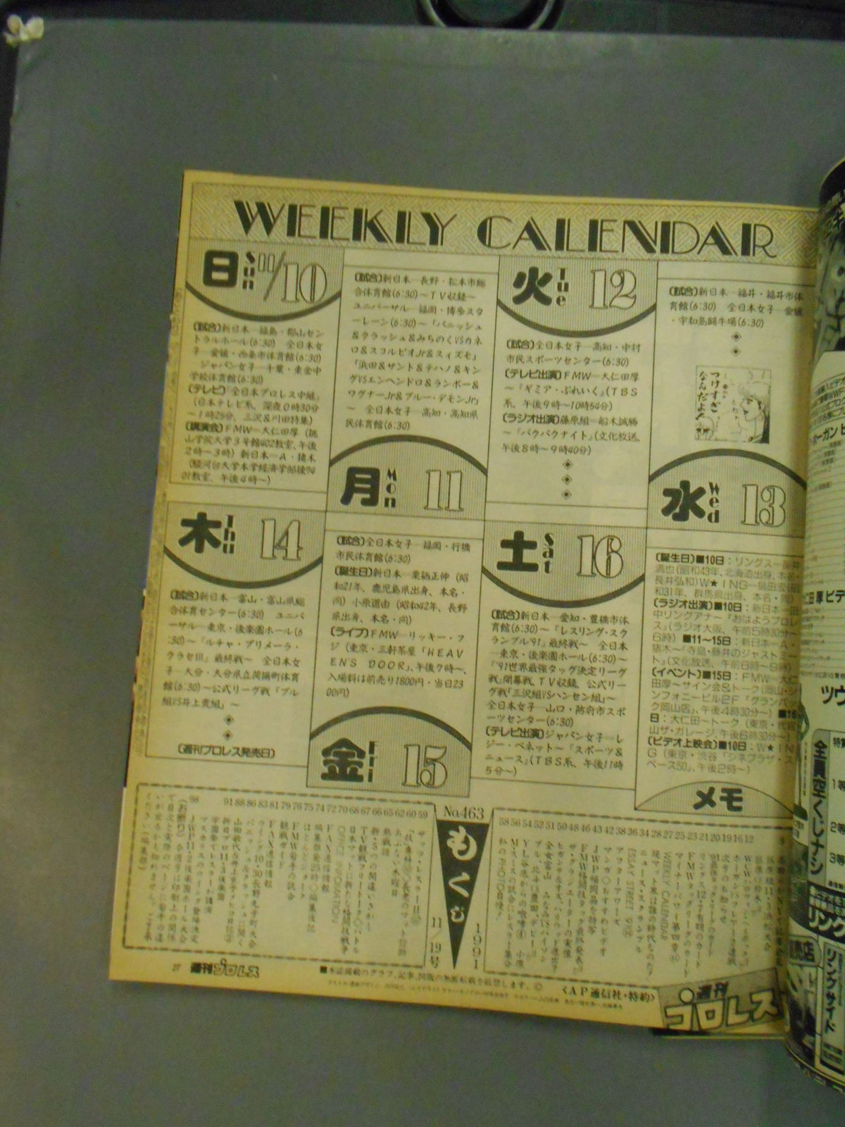 Weekly Pro Wrestling  463