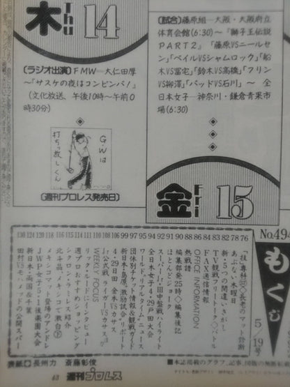 週刊プロレス494