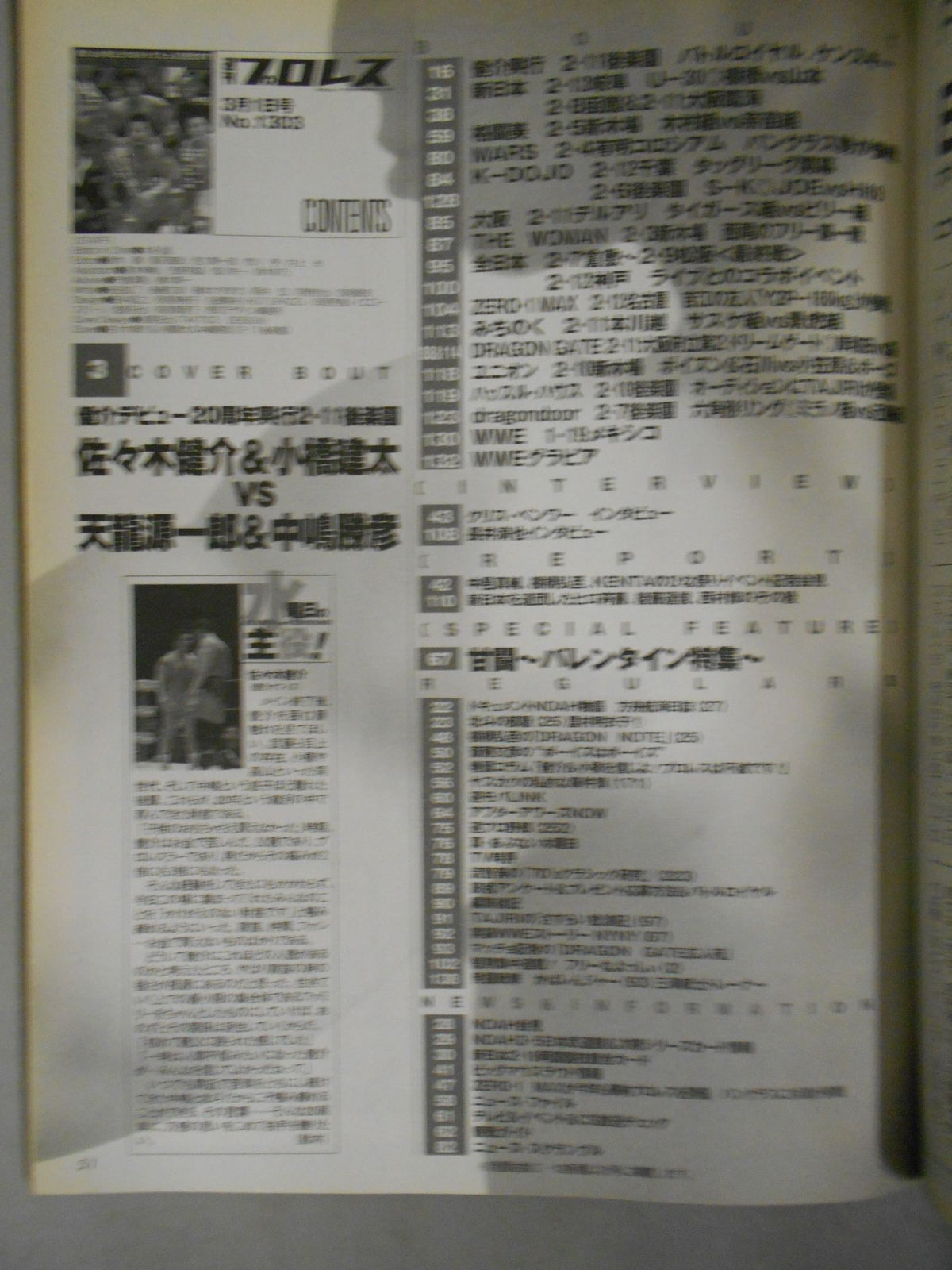 Weekly Pro Wrestling 1303