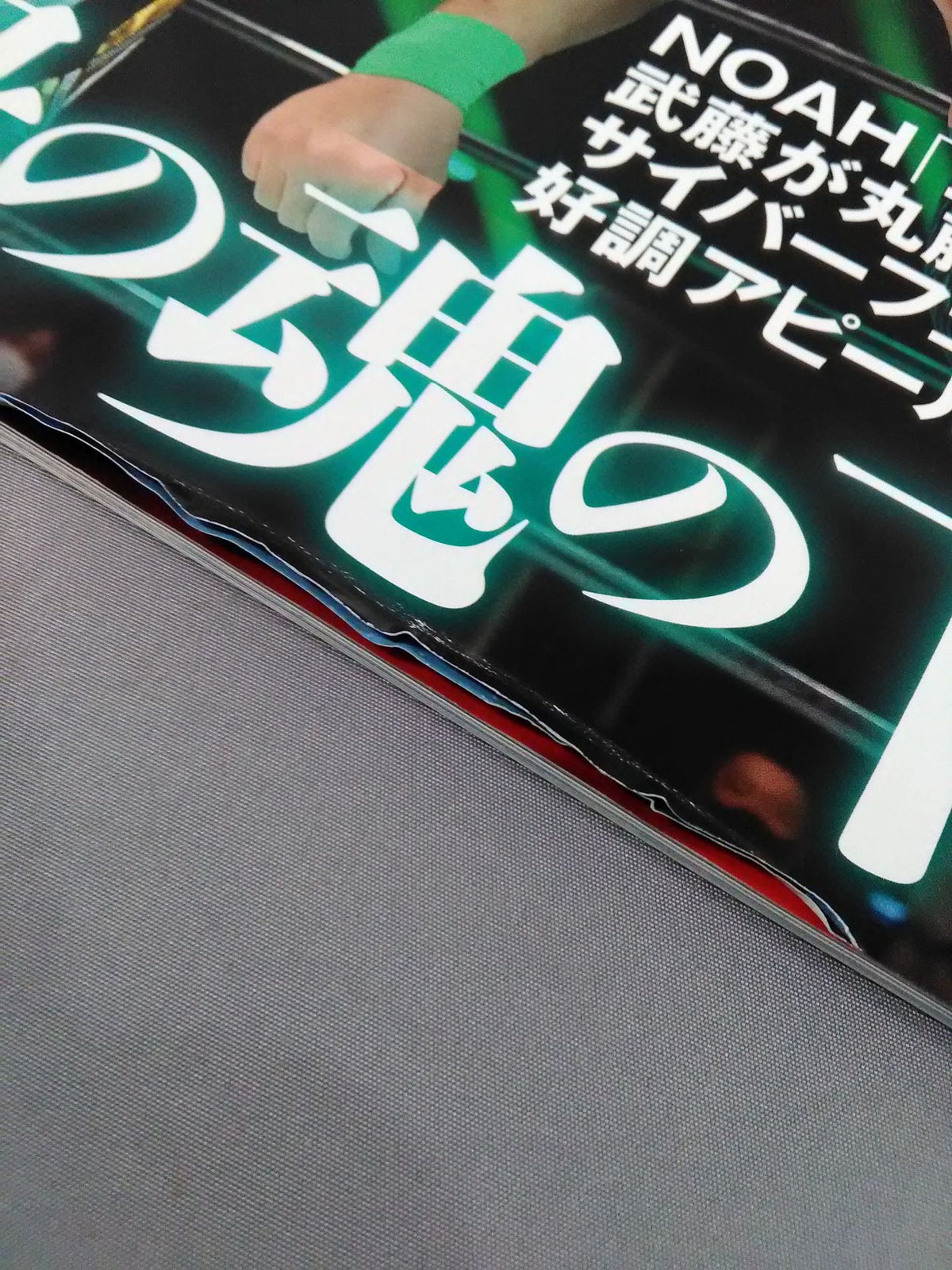 週刊プロレス2125
