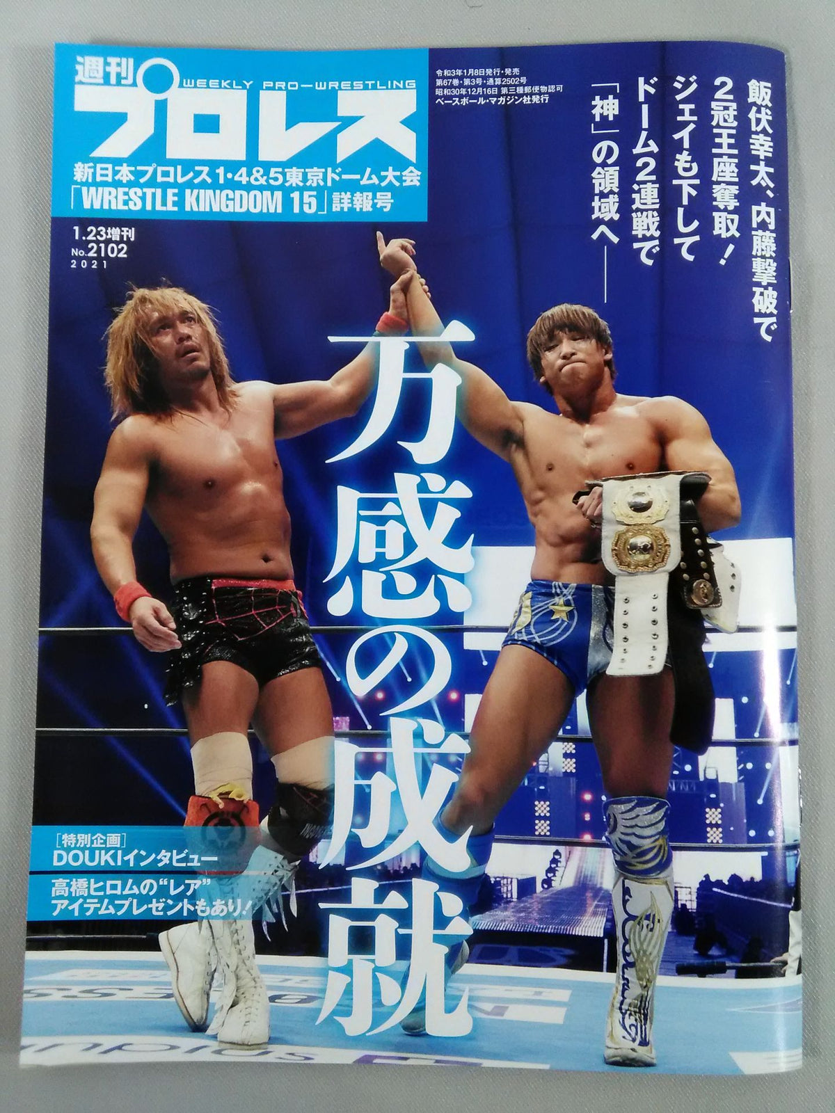 Weekly Pro Wrestling 2102