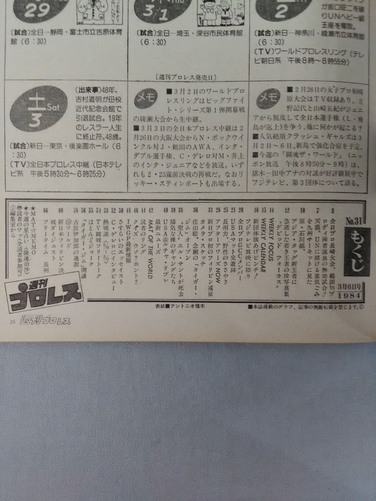 週刊プロレス31