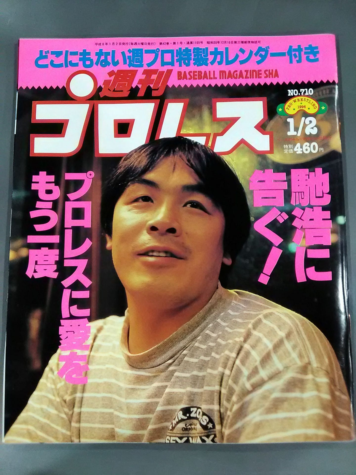 Weekly Pro Wrestling 710