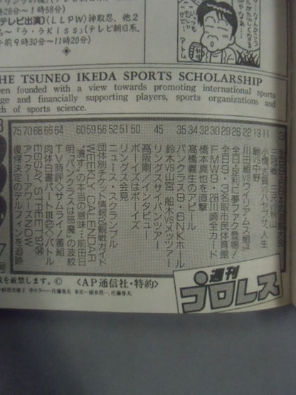週刊プロレス813