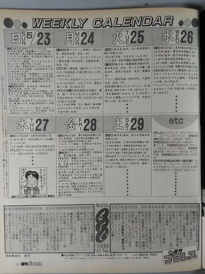 週刊プロレス916