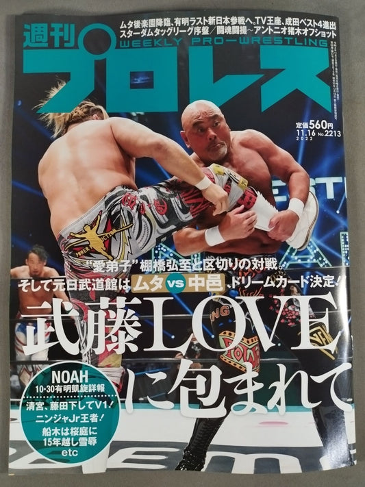Weekly Pro Wrestling 2213