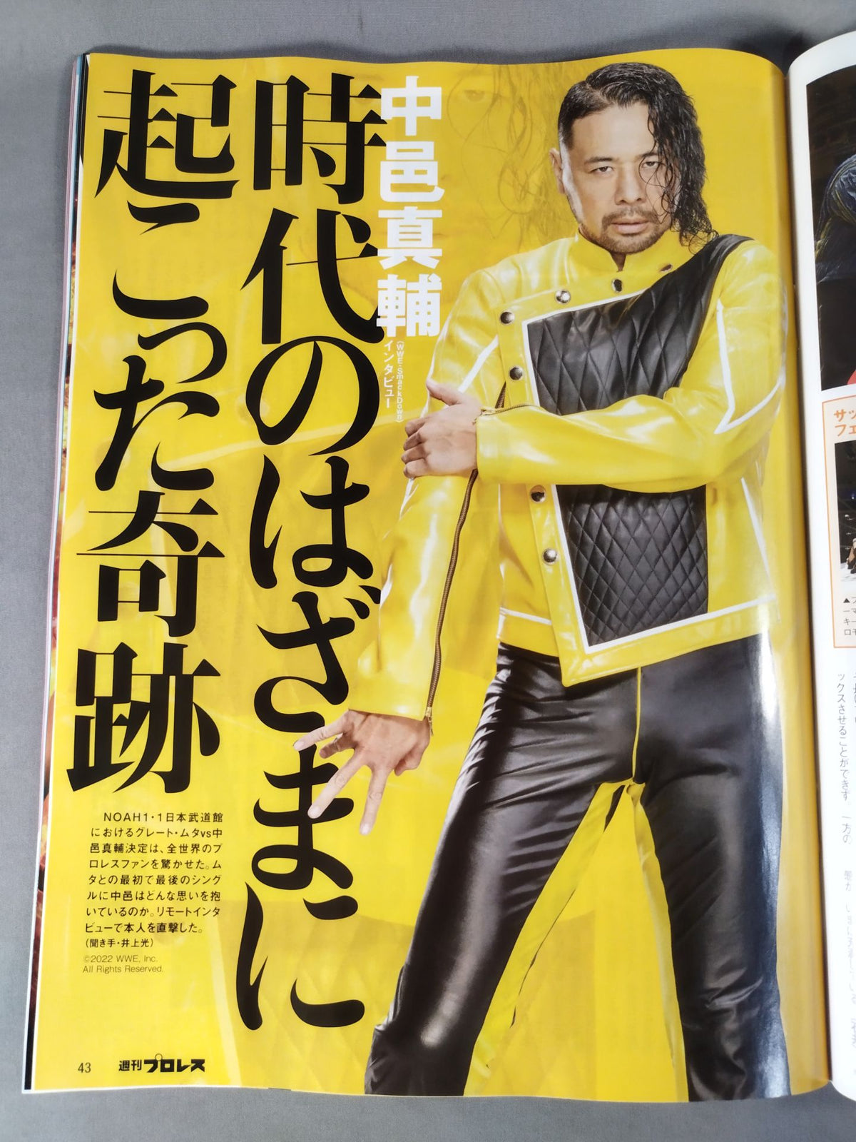 週刊プロレス2219