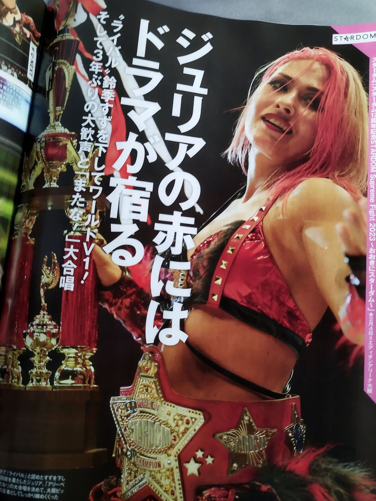 週刊プロレス2229