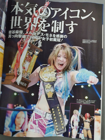 Weekly Pro Wrestling 2241