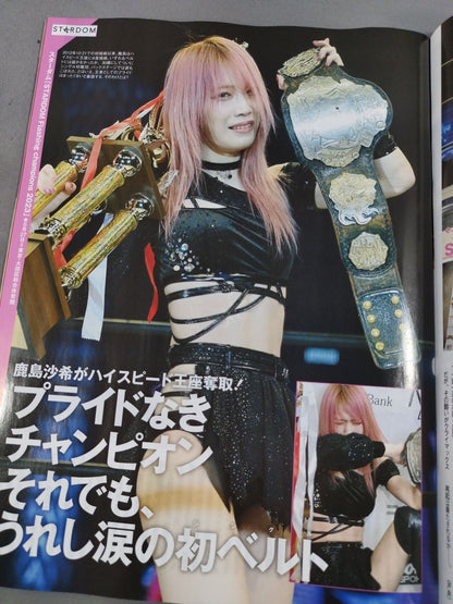 Weekly Pro Wrestling 2247