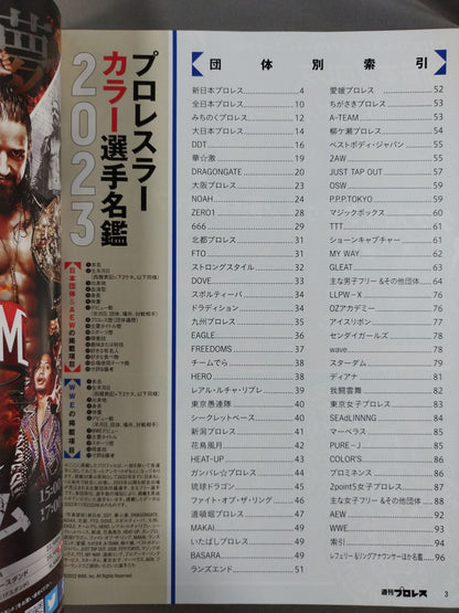 Weekly Pro Wrestling 2218