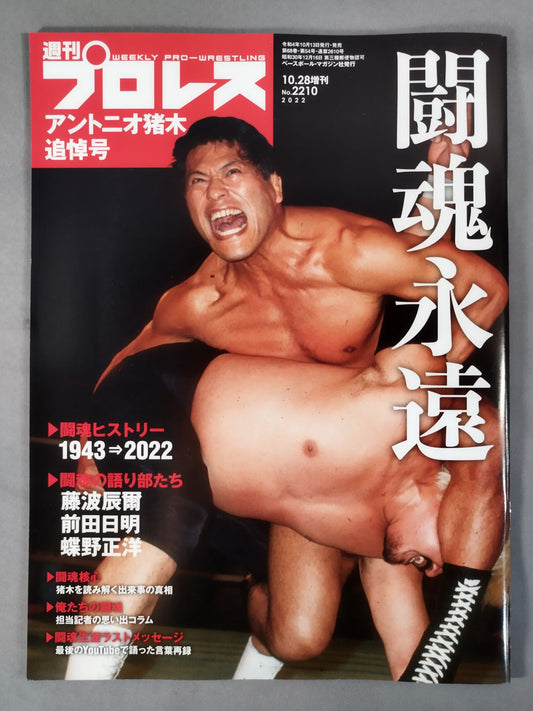 Weekly Pro Wrestling 2210