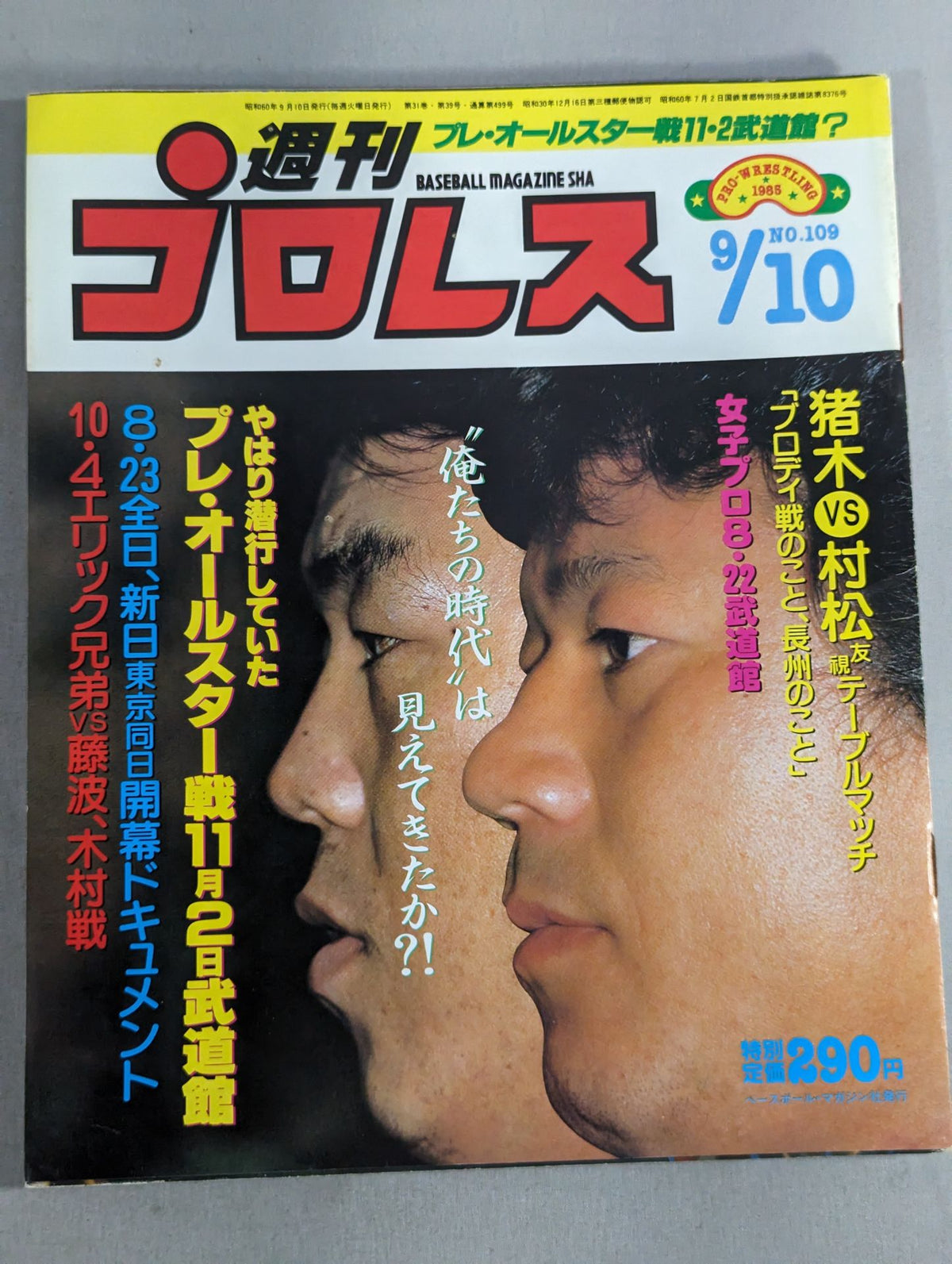 Weekly Pro Wrestling 109