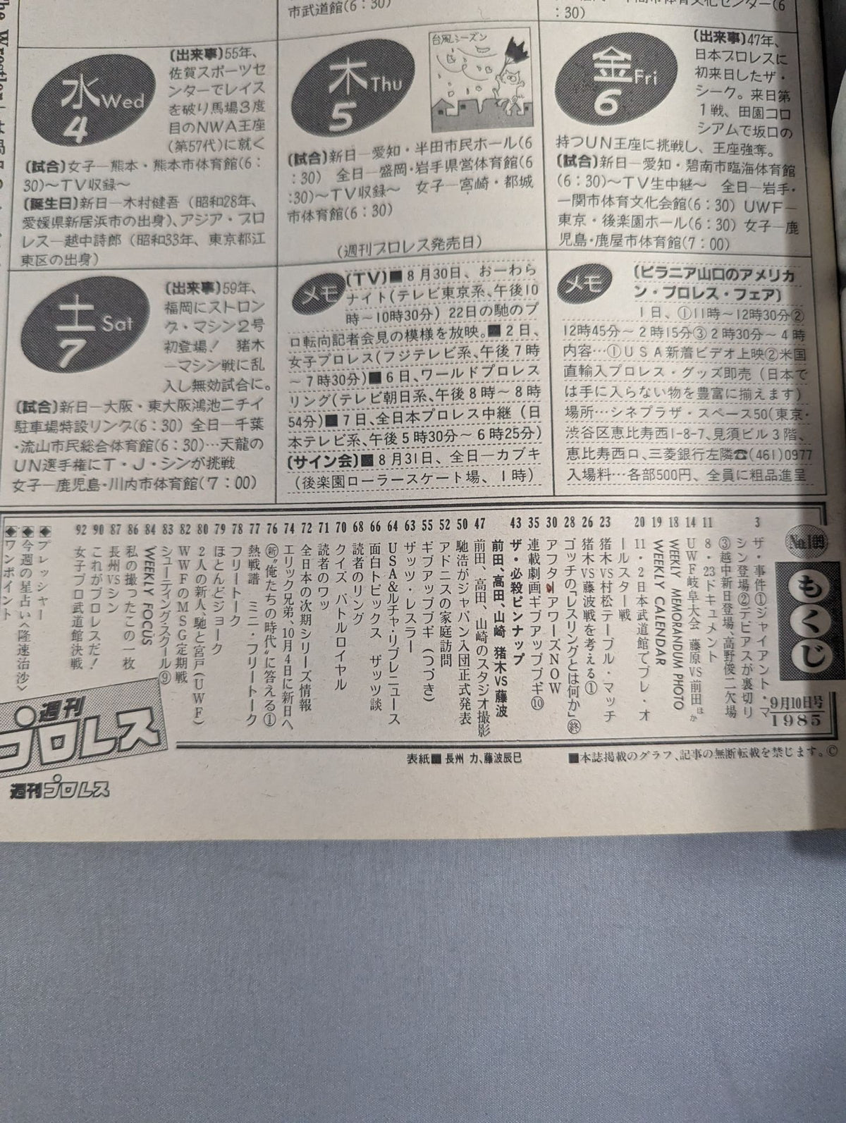 Weekly Pro Wrestling 109