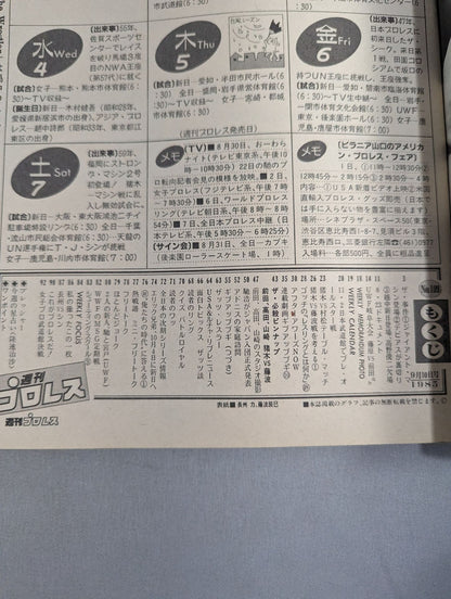 Weekly Pro Wrestling 109