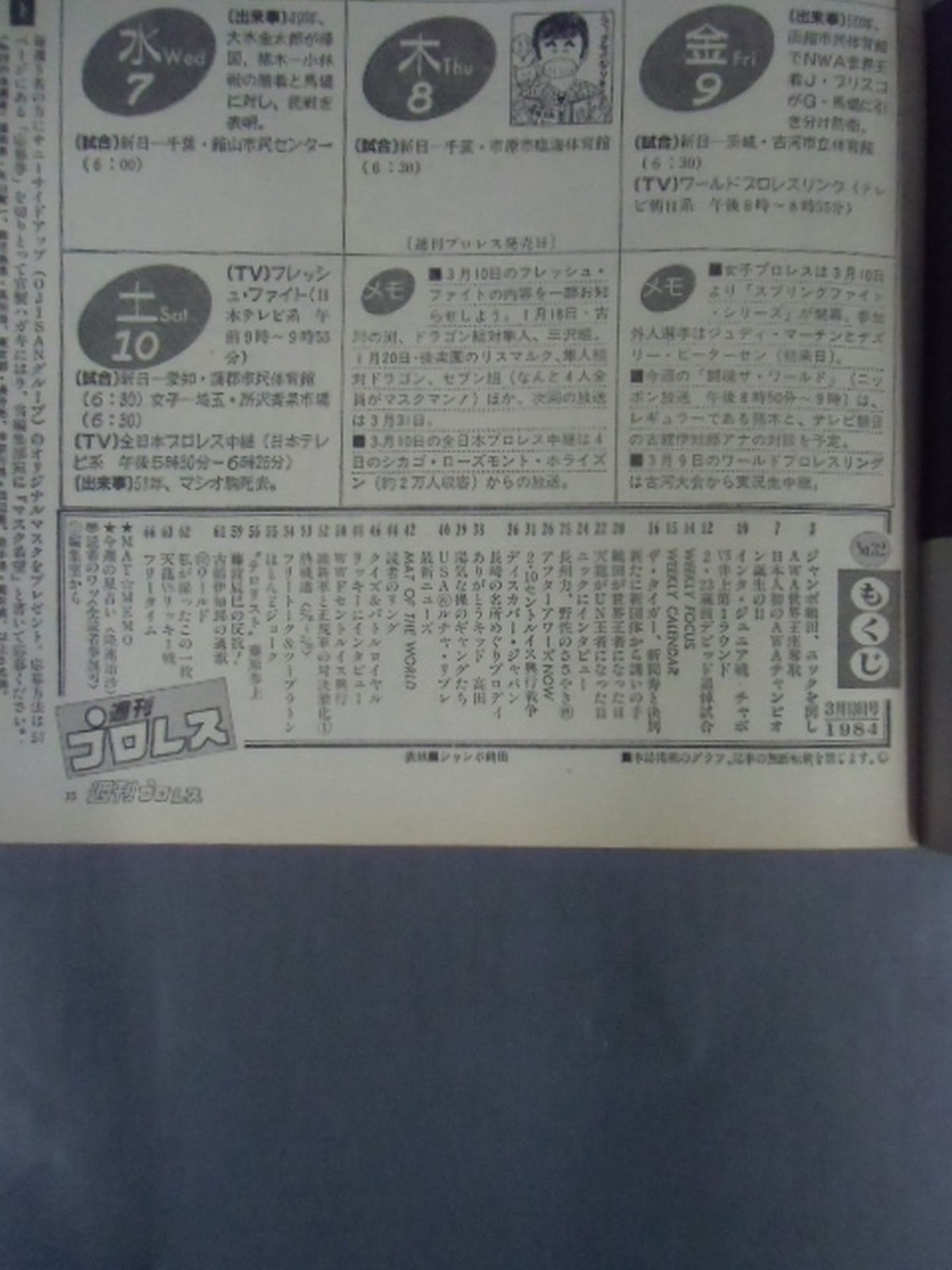 Weekly Pro Wrestling 32