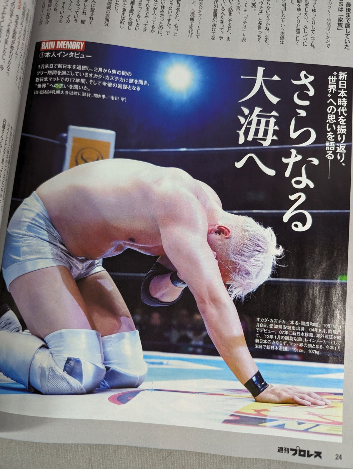 Weekly Pro Wrestling 2290
