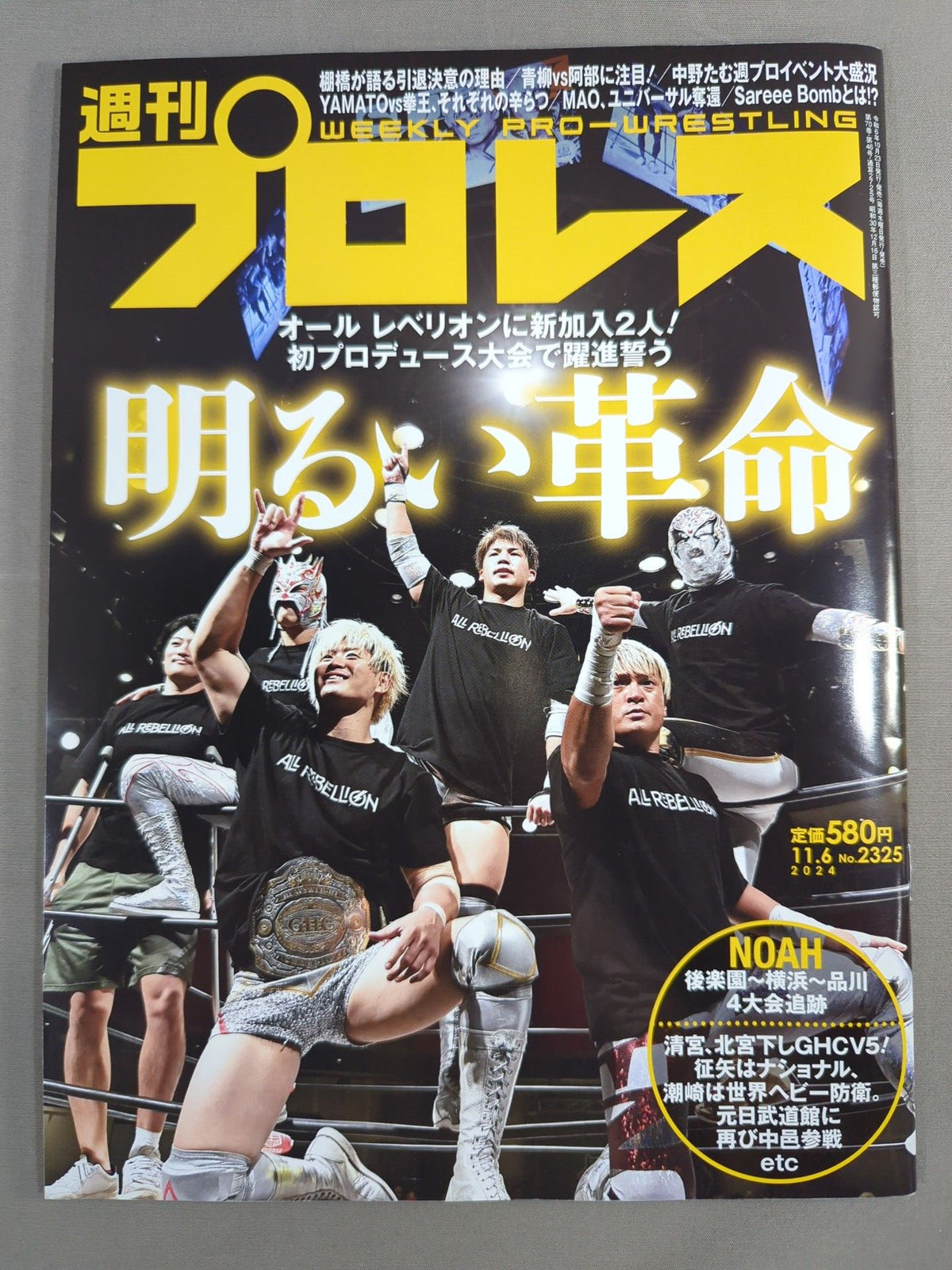 Weekly Pro Wrestling 2325
