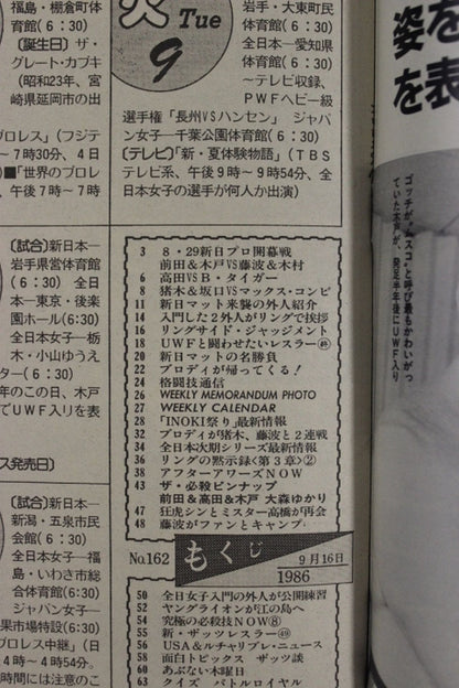 Weekly Pro Wrestling  162