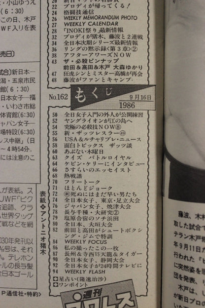 Weekly Pro Wrestling  162
