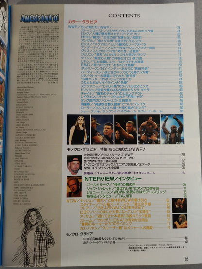 週刊プロレス別冊26 ｢アメリカーナ’01｣