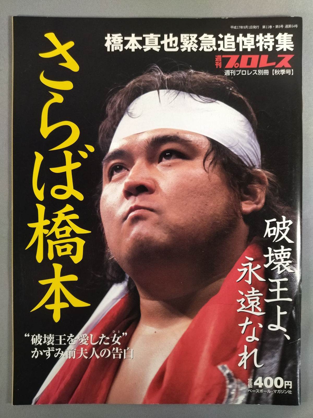 Weekly Pro Wrestling  Annex 64 "Farewell Hashimoto, King of Destruction Be eternal."