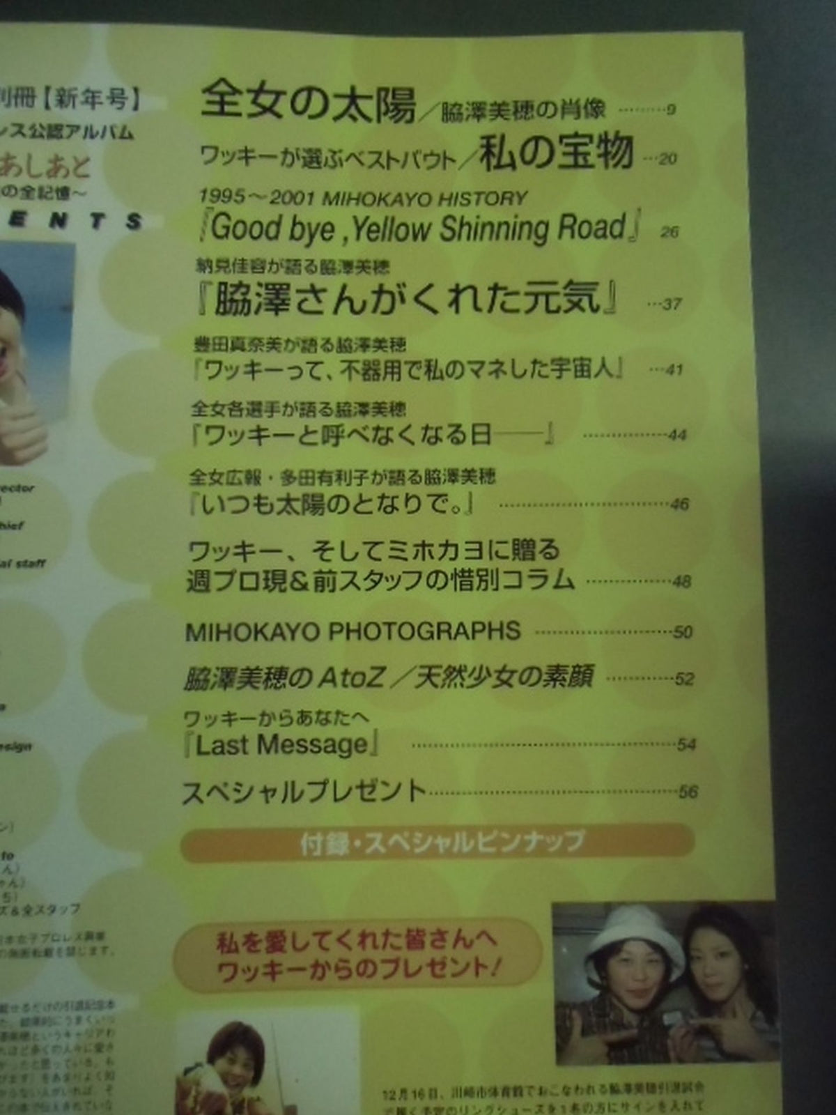 週刊プロレス別冊33 ｢黄色いあしあと 脇澤美穂の全記録｣