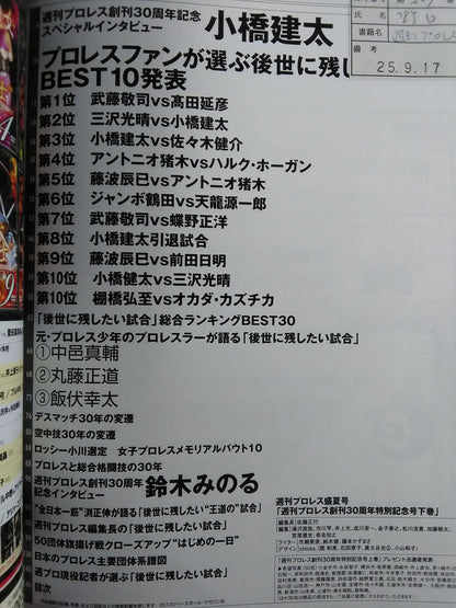 Weekly Pro Wrestling  Appendix 105 Complete Preservation Edition 30th Anniversary Special Commemorative Issue [Second Volume]