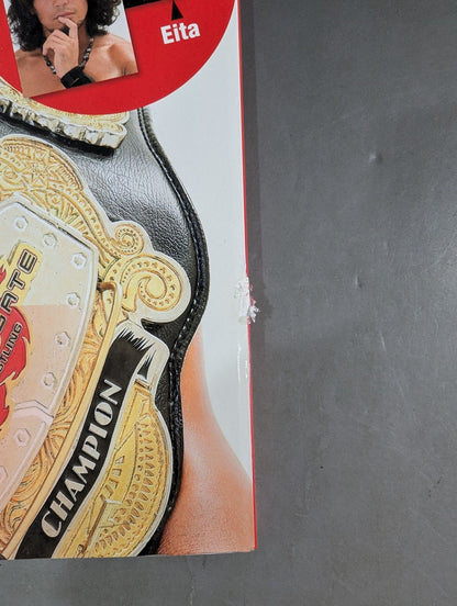 週刊プロレス別冊137 ドラゴンゲート大百科2016