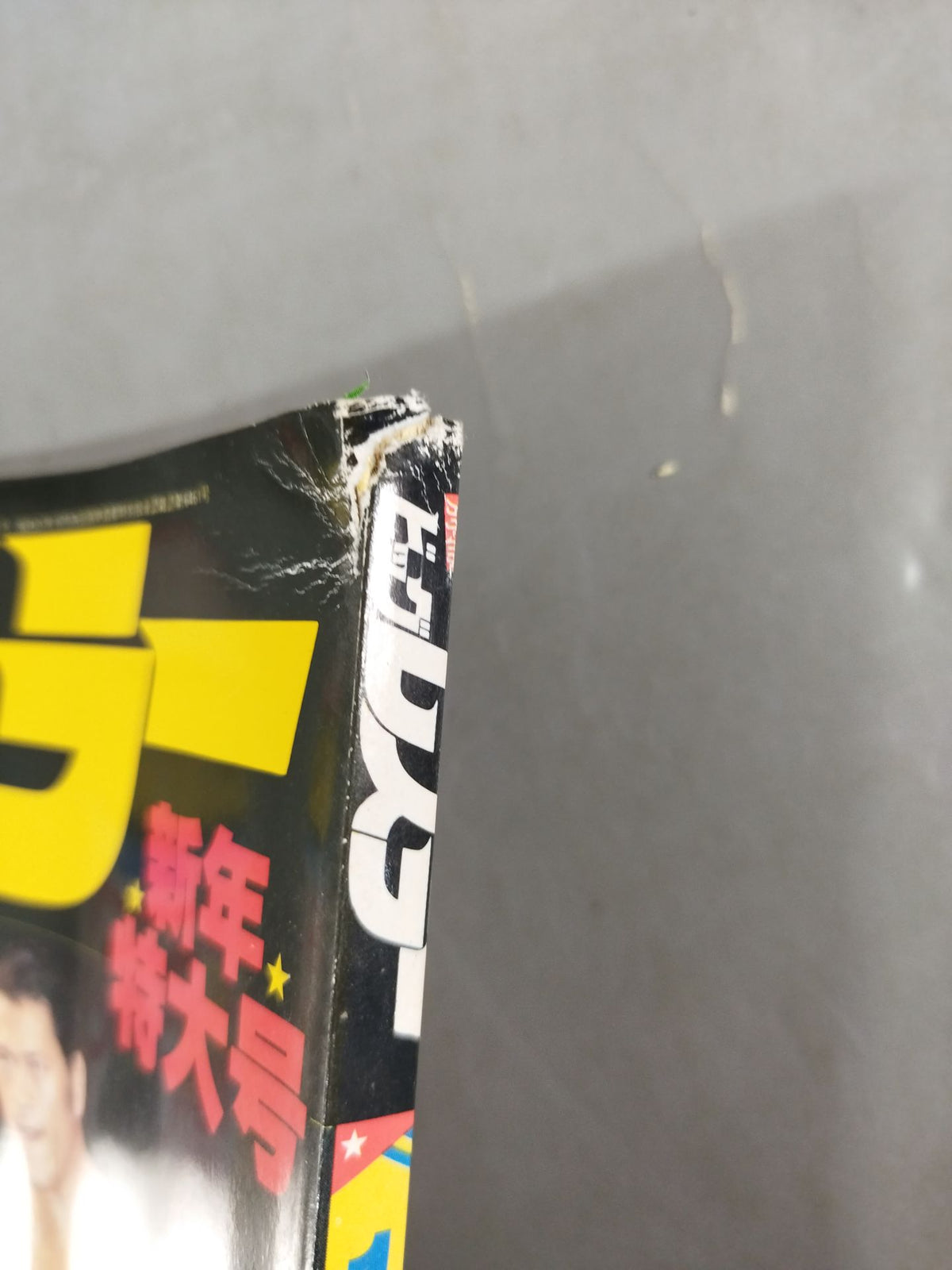 月刊ビッグレスラー 1983年01月号別冊