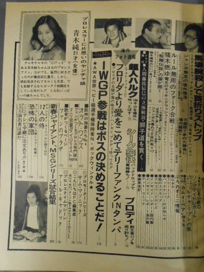 月刊ビッグレスラー 1982年4月号