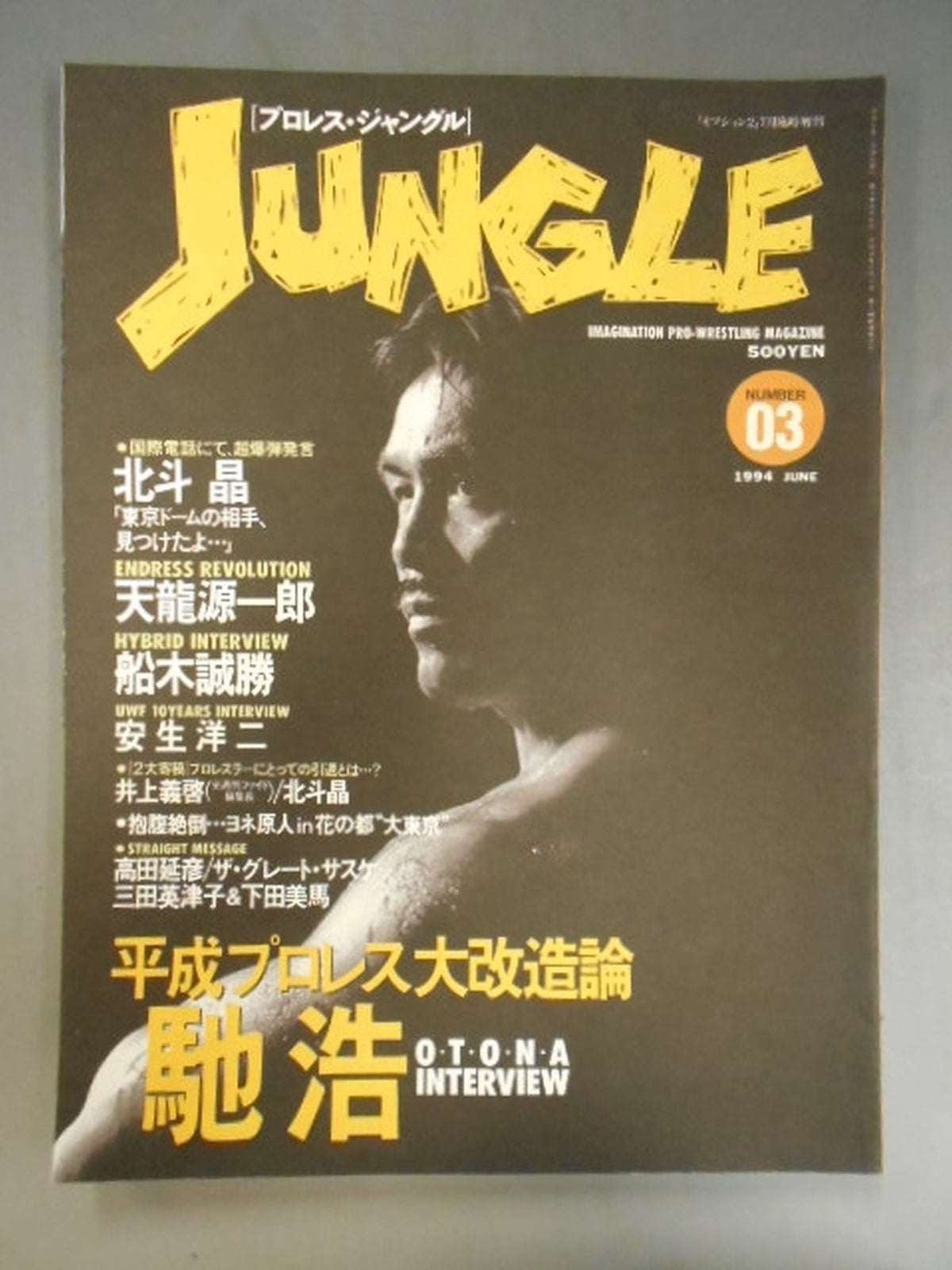 Jungle 3