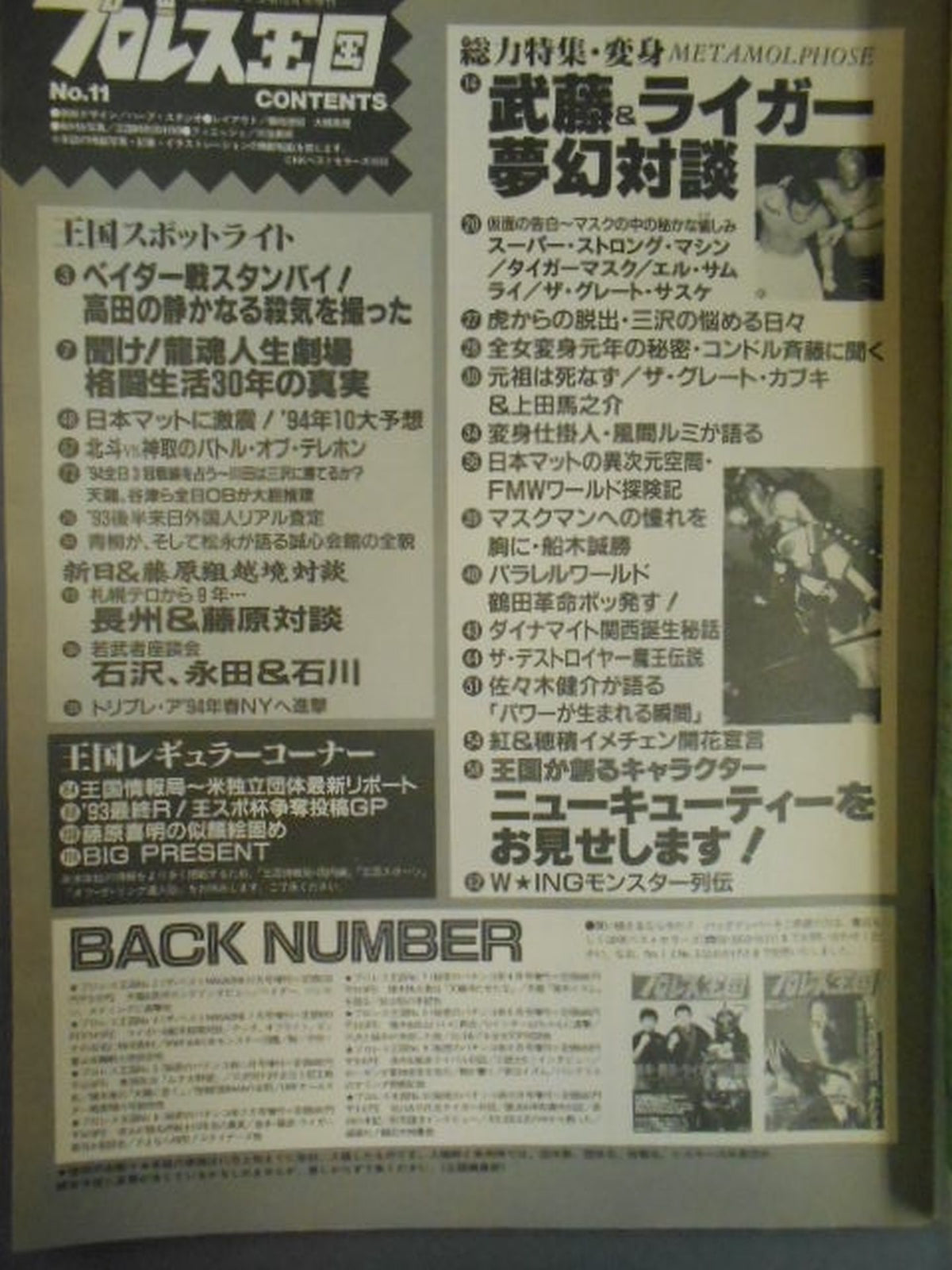Pro Wrestling  Kingdom 11