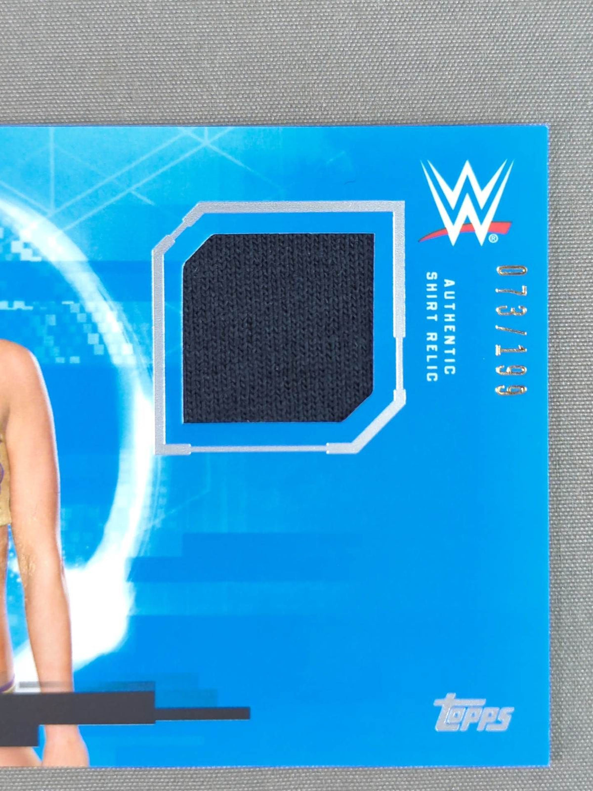 2017 WWE topps Summer Ray Official Relic Card (Costume)