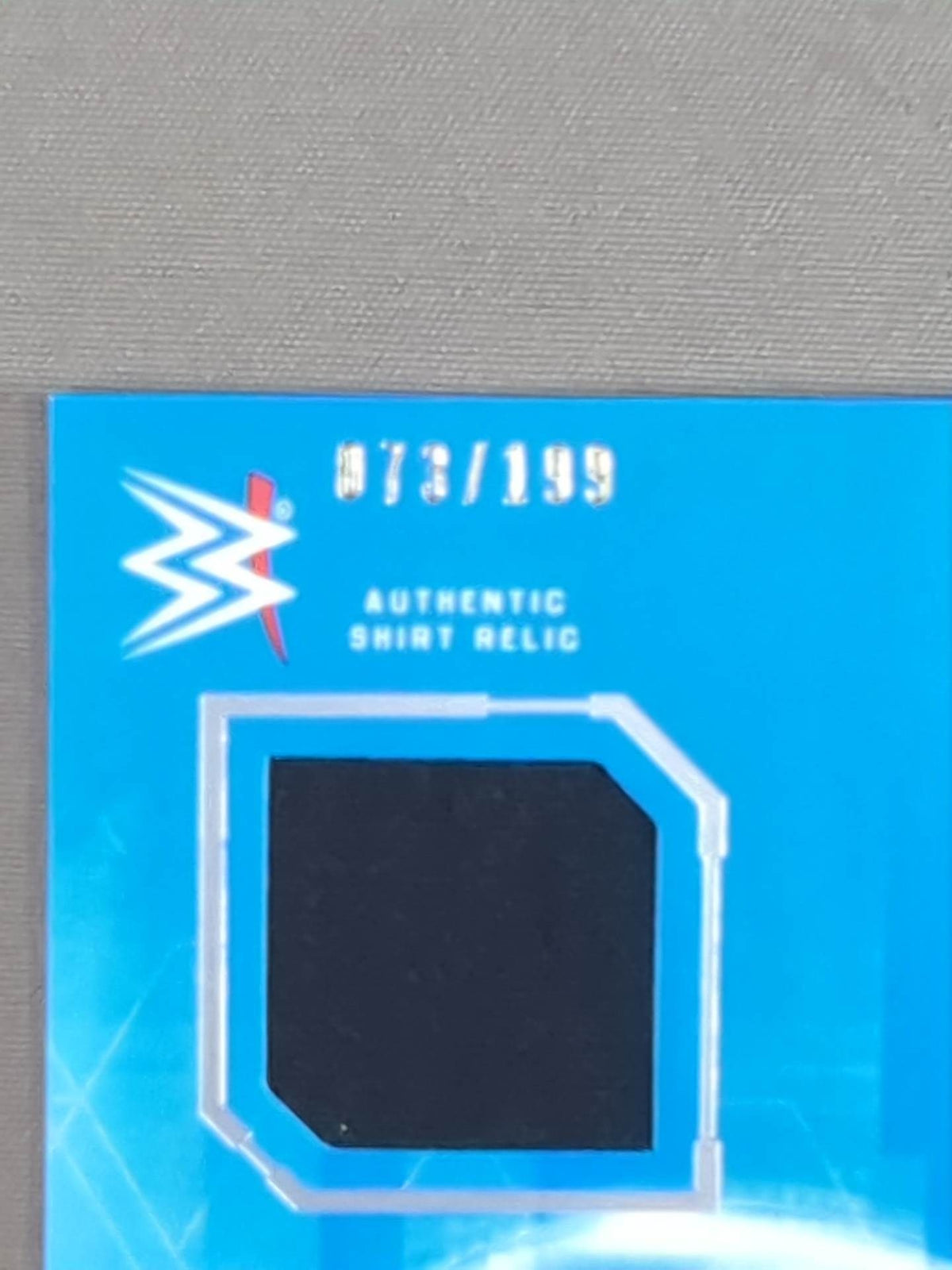2017 WWE topps Summer Ray Official Relic Card (Costume)