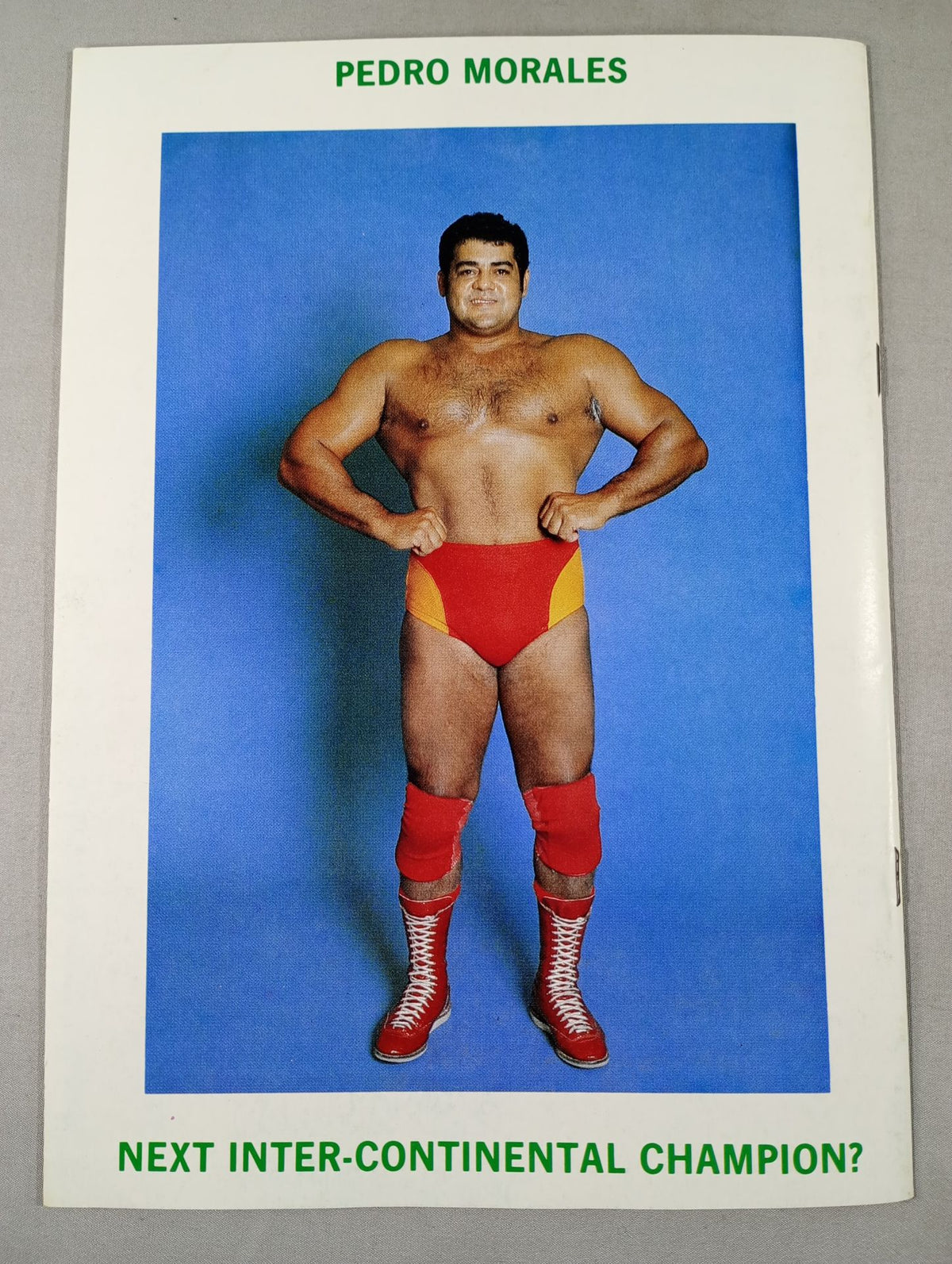 ★WWF Heavyweight Fighters Rights Match Bob ★ Backlund vsSgt. Slaughter 