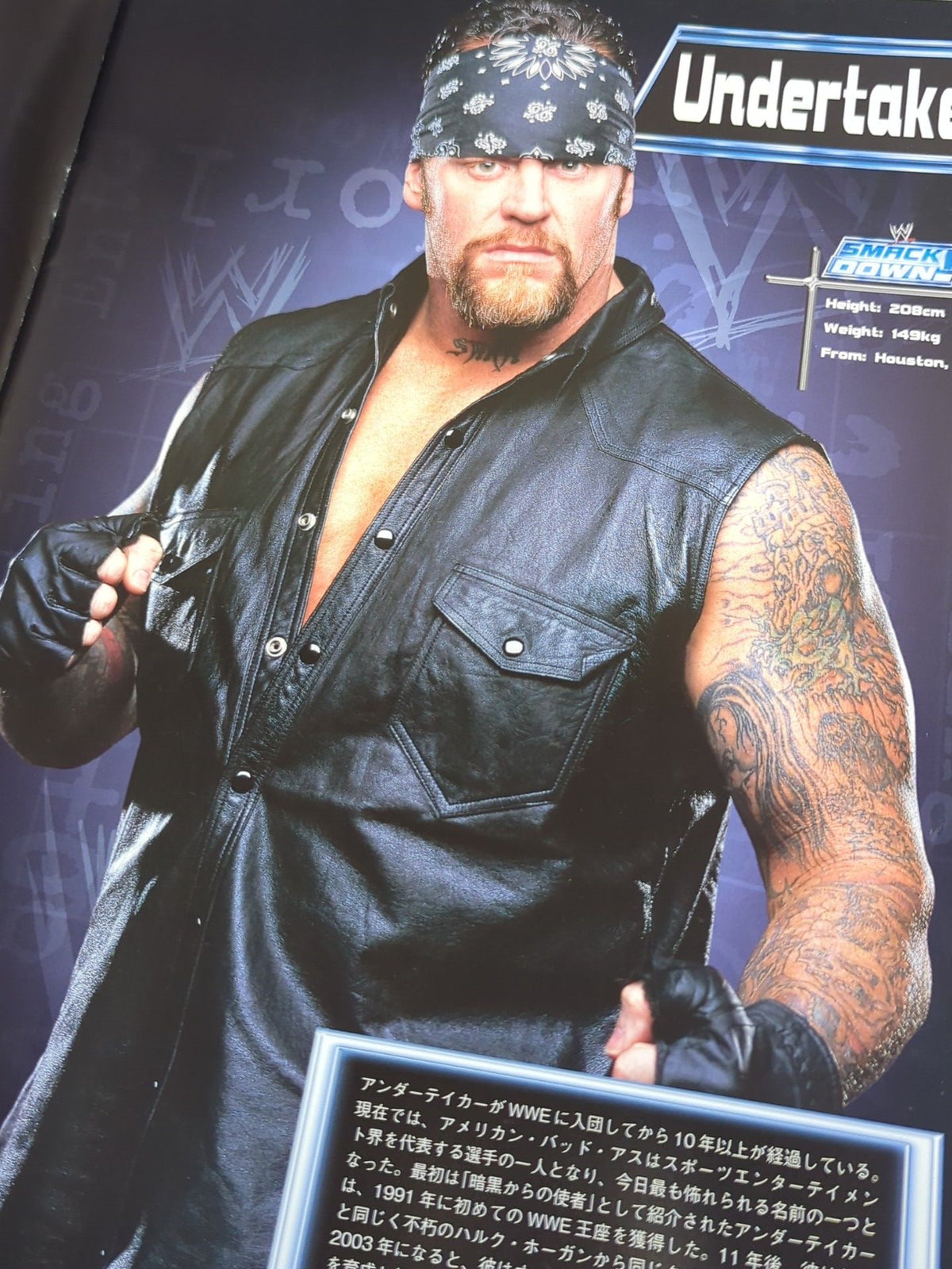 WWE SMACKDOWN! UNLEASHED IN THE EAST