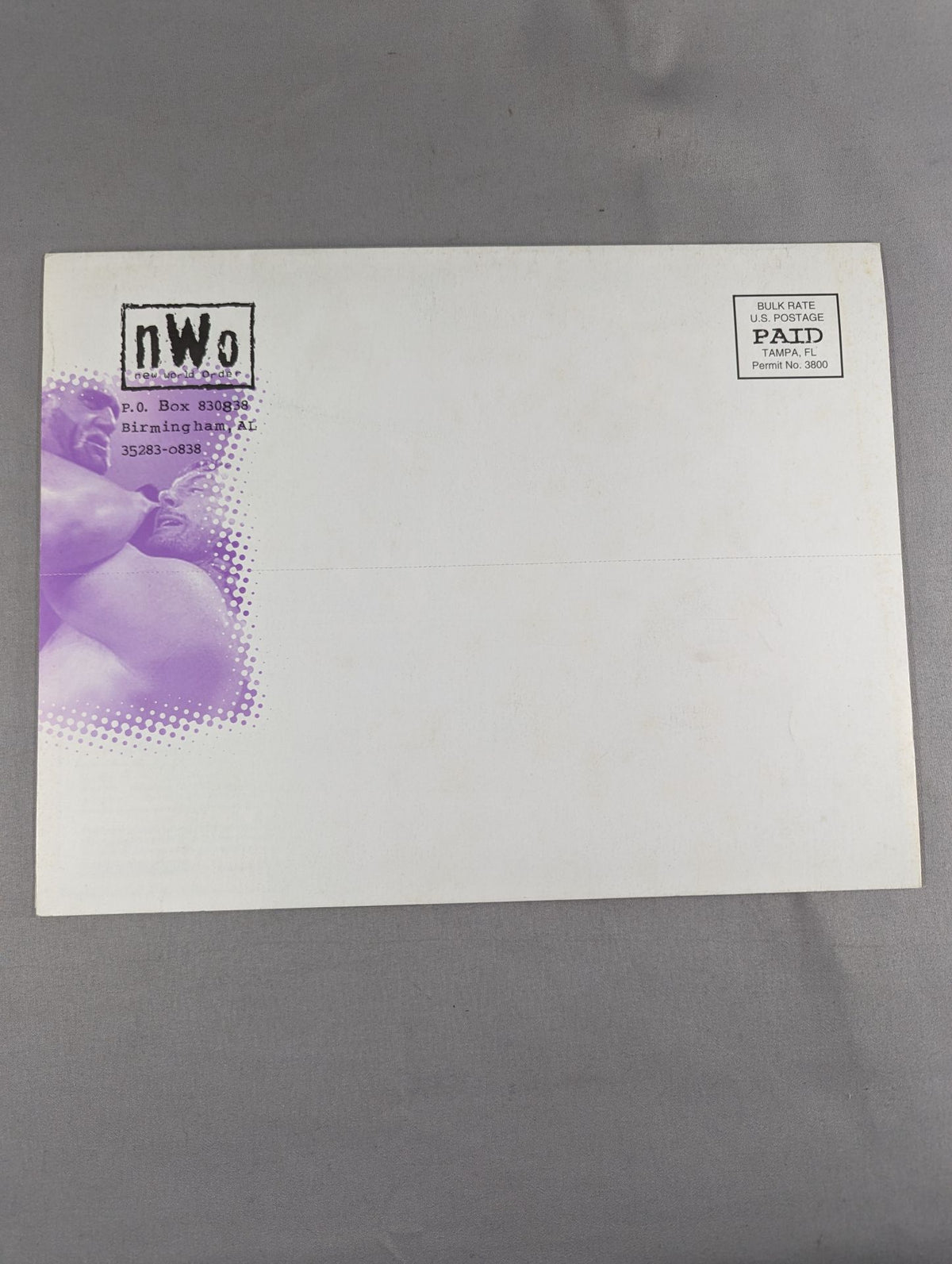 nWo グッズ紹介パンフレット