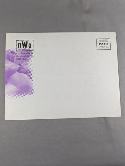 nWo グッズ紹介パンフレット