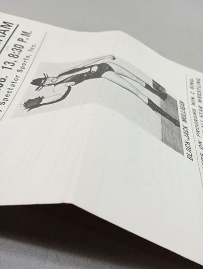 SOUVENIR Wrestling  PROGRAM No.1541
