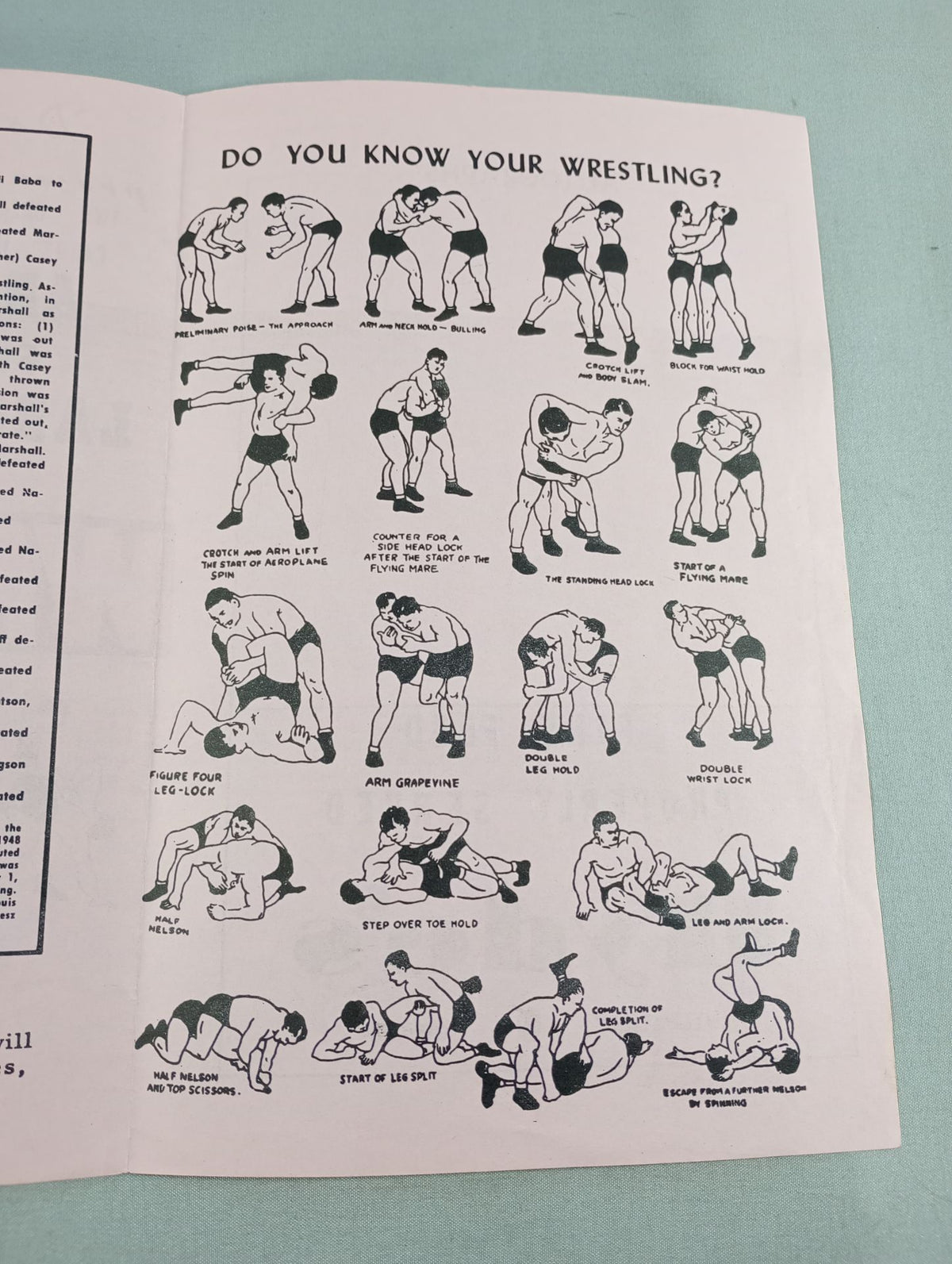 PNW / Don Owen & Elton Owen Presents Wrestling
