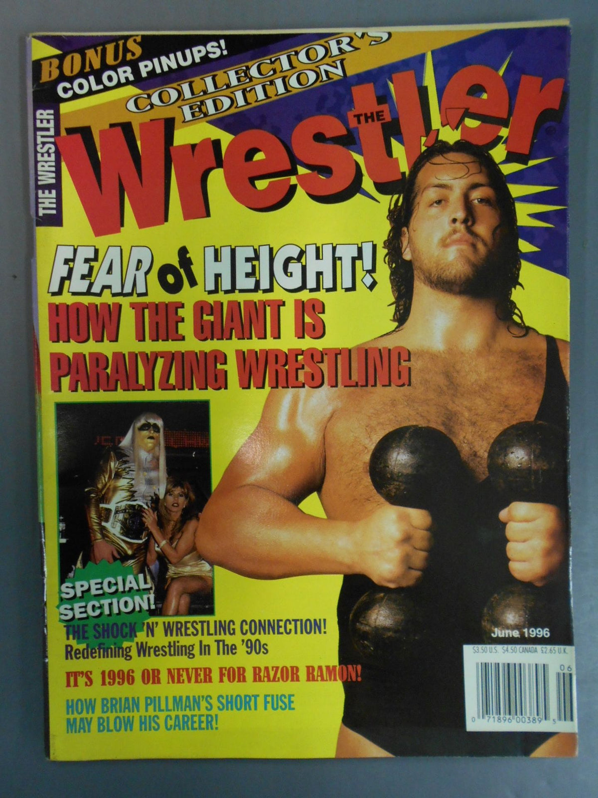 THE Wrestler 1996年06月号
